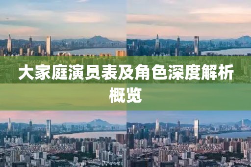 大家庭演员表及角色深度解析概览
