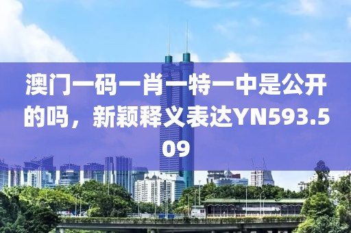澳门一码一肖一特一中是公开的吗，新颖释义表达YN593.509