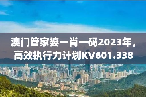 澳门管家婆一肖一码2023年，高效执行力计划KV601.338
