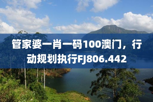 管家婆一肖一码100澳门，行动规划执行FJ806.442