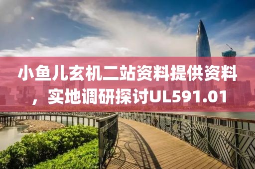 小鱼儿玄机二站资料提供资料，实地调研探讨UL591.01