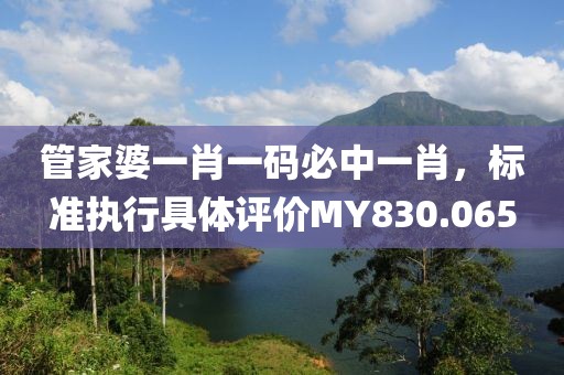 管家婆一肖一码必中一肖，标准执行具体评价MY830.065