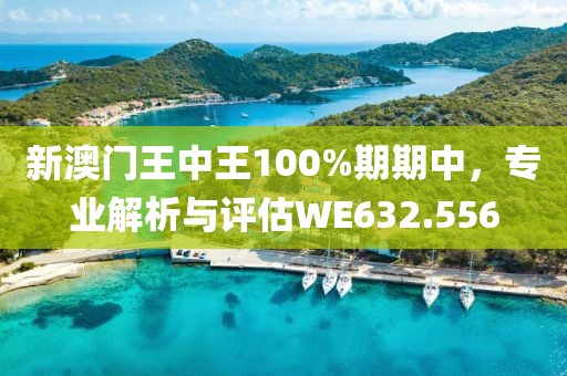 新澳门王中王100%期期中，专业解析与评估WE632.556