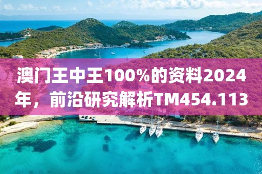 澳门王中王100%的资料2024年，前沿研究解析TM454.113