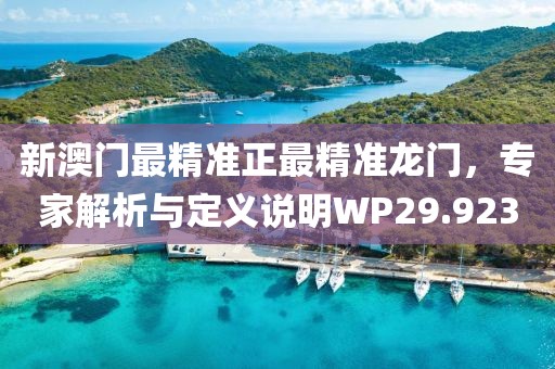 新澳门最精准正最精准龙门，专家解析与定义说明WP29.923