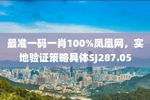 最准一码一肖100%凤凰网，实地验证策略具体SJ287.05