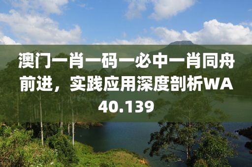 澳门一肖一码一必中一肖同舟前进，实践应用深度剖析WA40.139