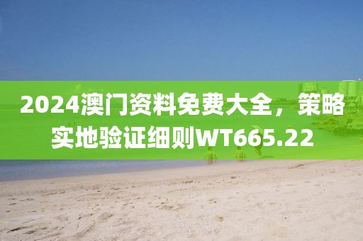 2024澳门资料免费大全，策略实地验证细则WT665.22