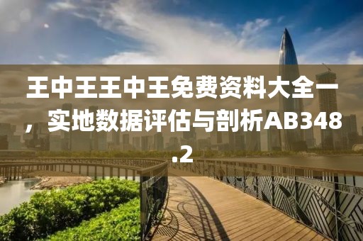 王中王王中王免费资料大全一，实地数据评估与剖析AB348.2