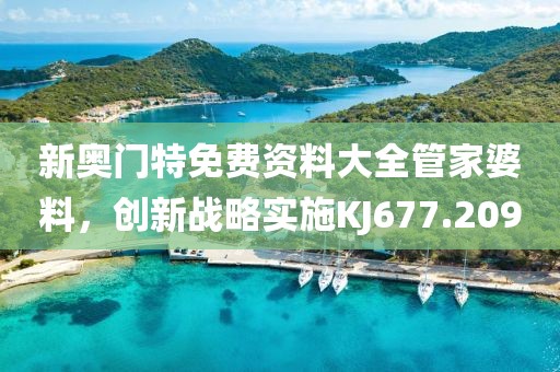 新奥门特免费资料大全管家婆料，创新战略实施KJ677.209