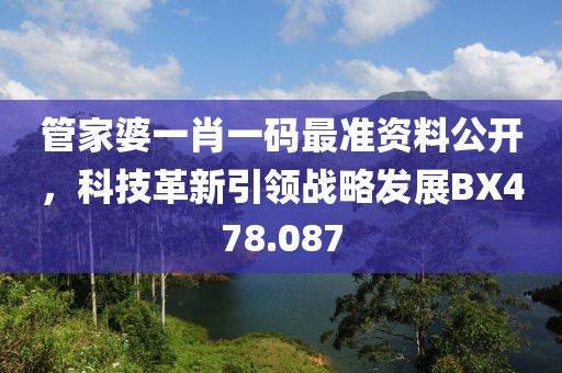 管家婆一肖一码最准资料公开，科技革新引领战略发展BX478.087