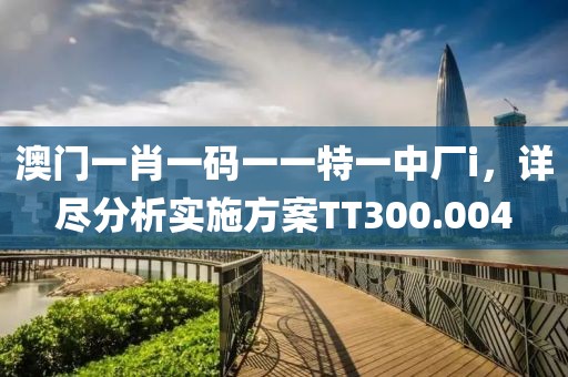 澳门一肖一码一一特一中厂i，详尽分析实施方案TT300.004