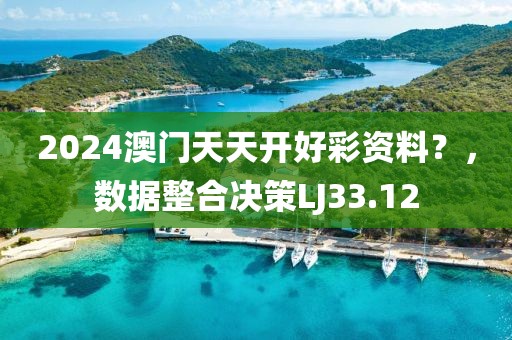 2024澳门天天开好彩资料？，数据整合决策LJ33.12