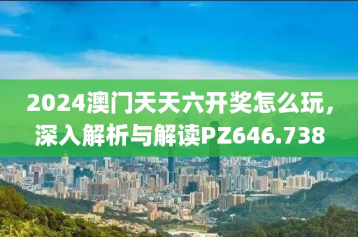 2024澳门天天六开奖怎么玩，深入解析与解读PZ646.738