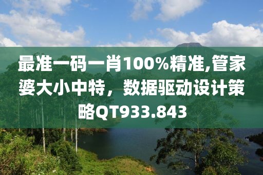 最准一码一肖100%精准,管家婆大小中特，数据驱动设计策略QT933.843