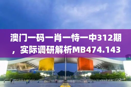 澳门一码一肖一恃一中312期，实际调研解析MB474.143