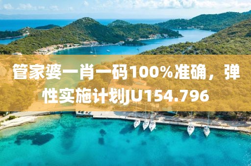 管家婆一肖一码100%准确，弹性实施计划JU154.796