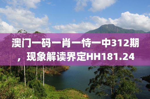 澳门一码一肖一恃一中312期，现象解读界定HH181.24