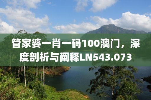 管家婆一肖一码100澳门，深度剖析与阐释LN543.073