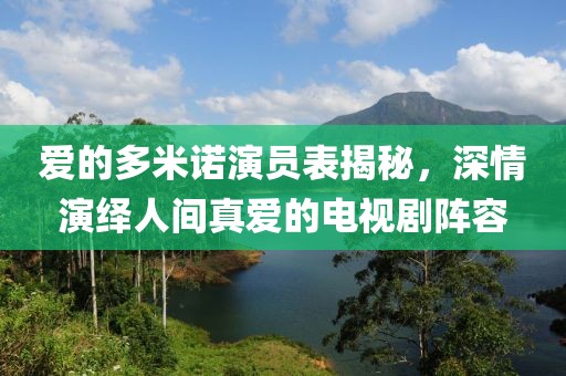 爱的多米诺演员表揭秘，深情演绎人间真爱的电视剧阵容
