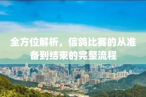 全方位解析，信鸽比赛的从准备到结束的完整流程