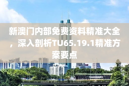 新澳门内部免费资料精准大全，深入剖析TU65.19.1精准方案要点