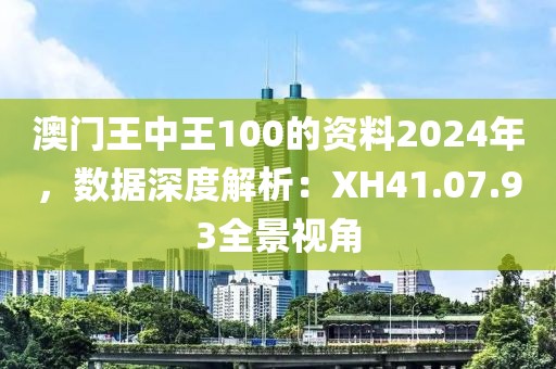 澳门王中王100的资料2024年，数据深度解析：XH41.07.93全景视角