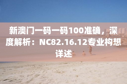 新澳门一码一码100准确，深度解析：NC82.16.12专业构想详述