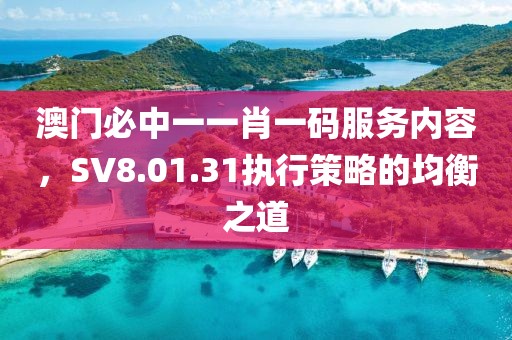 澳门必中一一肖一码服务内容，SV8.01.31执行策略的均衡之道