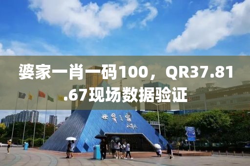 婆家一肖一码100，QR37.81.67现场数据验证