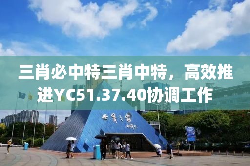 三肖必中特三肖中特，高效推进YC51.37.40协调工作