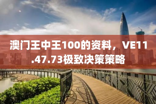 澳门王中王100的资料，VE11.47.73极致决策策略