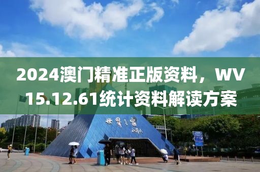 2024澳门精准正版资料，WV15.12.61统计资料解读方案