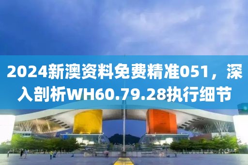 2024新澳资料免费精准051，深入剖析WH60.79.28执行细节