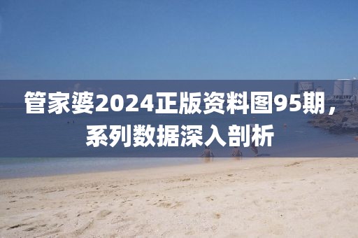 管家婆2024正版资料图95期，系列数据深入剖析