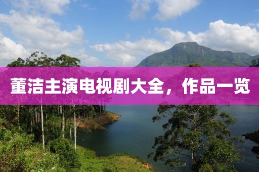 董洁主演电视剧大全，作品一览