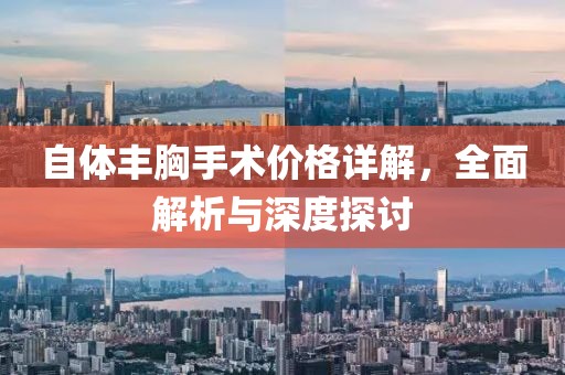 自体丰胸手术价格详解，全面解析与深度探讨