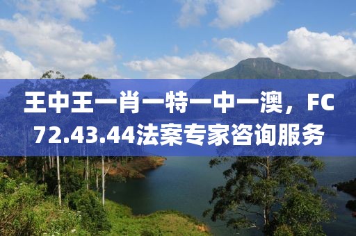 王中王一肖一特一中一澳，FC72.43.44法案专家咨询服务