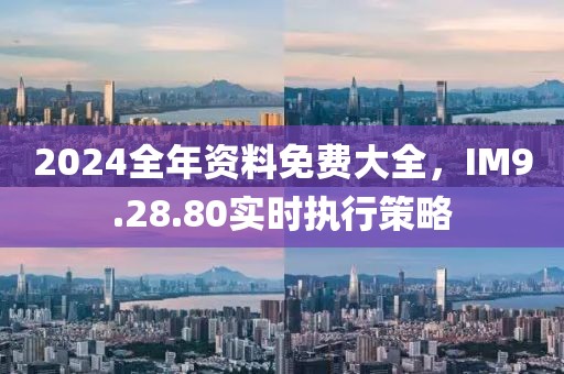 2024全年资料免费大全，IM9.28.80实时执行策略