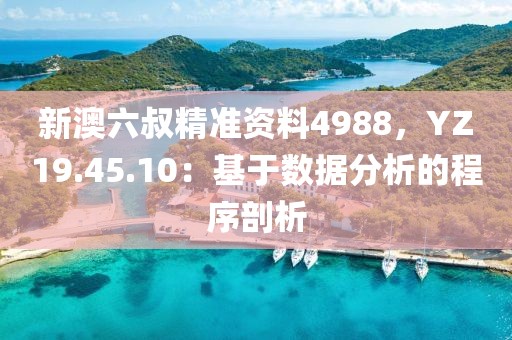 新澳六叔精准资料4988，YZ19.45.10：基于数据分析的程序剖析