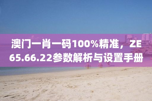 澳门一肖一码100%精准，ZE65.66.22参数解析与设置手册