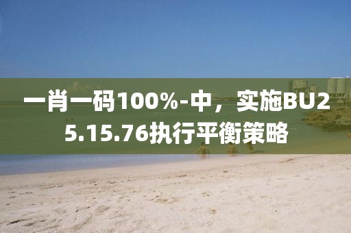 一肖一码100%-中，实施BU25.15.76执行平衡策略