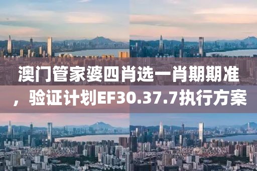 澳门管家婆四肖选一肖期期准，验证计划EF30.37.7执行方案