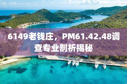 6149老钱庄，PM61.42.48调查专业剖析揭秘
