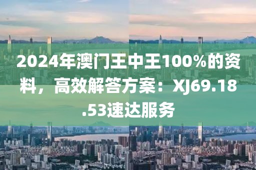 2024年澳门王中王100%的资料，高效解答方案：XJ69.18.53速达服务