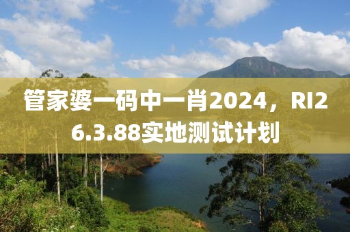 管家婆一码中一肖2024，RI26.3.88实地测试计划