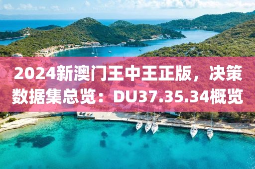 2024新澳门王中王正版，决策数据集总览：DU37.35.34概览
