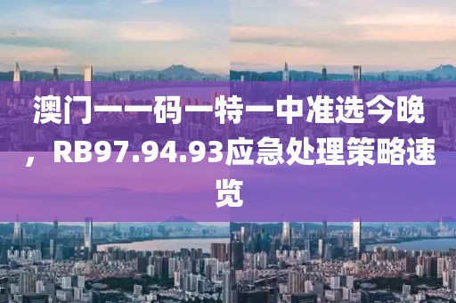 澳门一一码一特一中准选今晚，RB97.94.93应急处理策略速览
