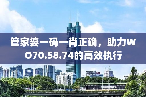 管家婆一码一肖正确，助力WO70.58.74的高效执行