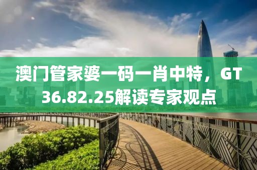 澳门管家婆一码一肖中特，GT36.82.25解读专家观点